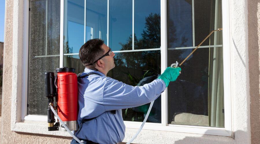 Professional pest control services in Arroyo Grande